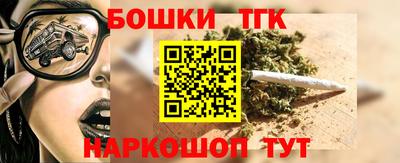 индика Комсомольск-на-Амуре